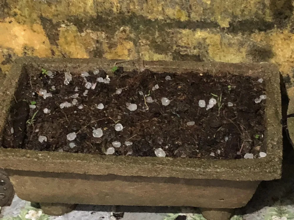 Mưa đá trút xuống chỉ trong khoảng vài phút