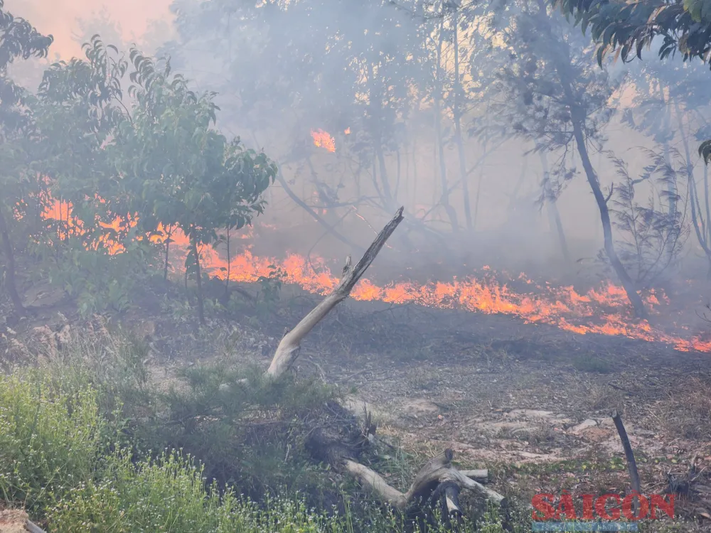 Ngay trong ngày 28-6 cũng xuất hiện một đám cháy tại xã Bình Nam (huyện Thăng Bình). Ảnh: NGUYỄN CƯỜNG