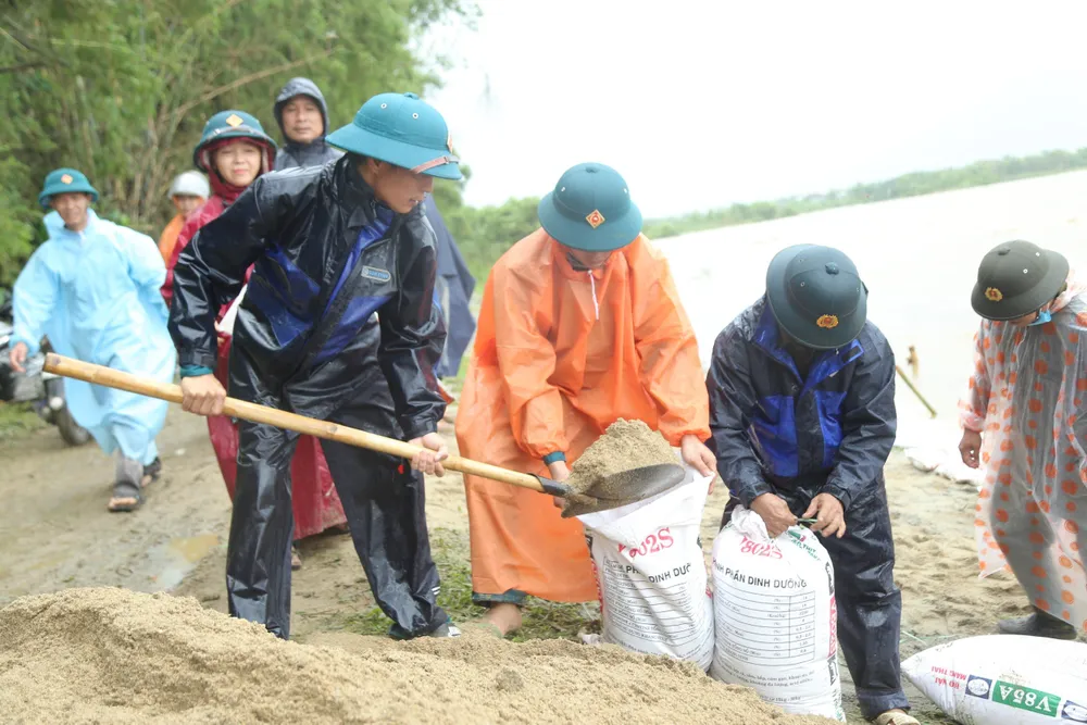 Cát được cho vào bao tải để đem kè bờ sông bị sạt lở