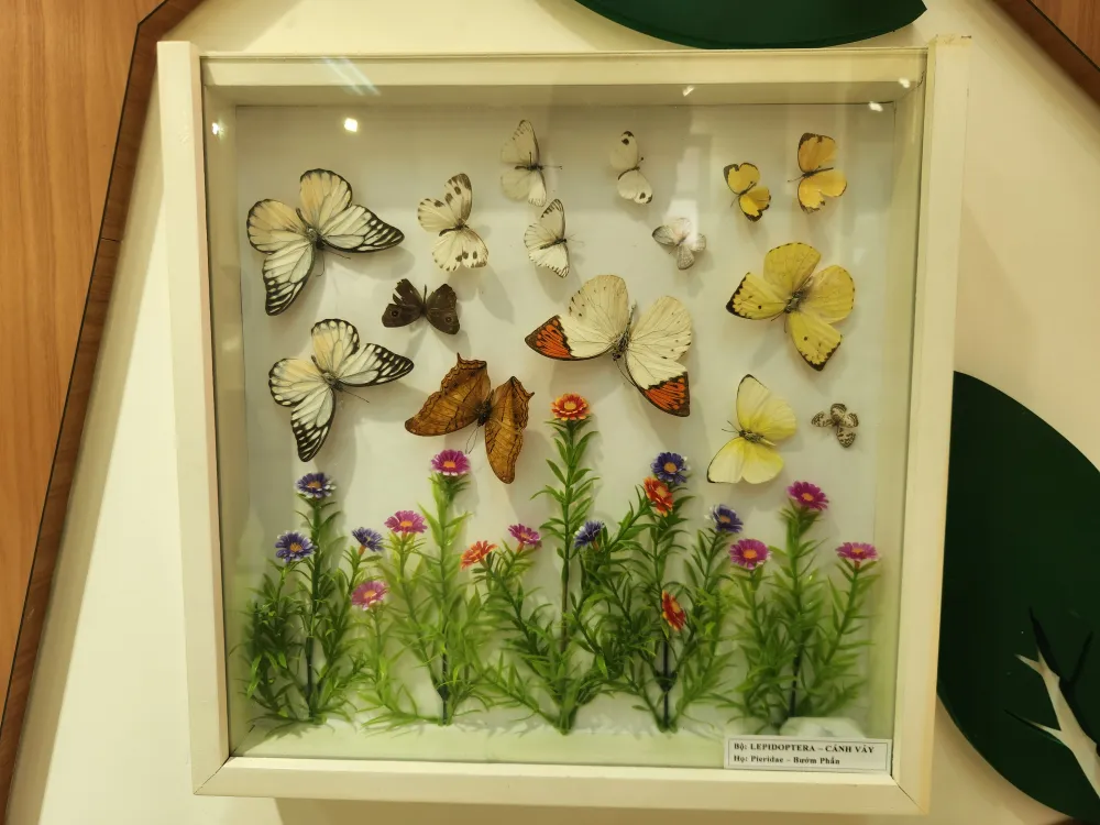 15-5-bao-tang-da-dang-sinh-hoc-quang-nam-7.jpg