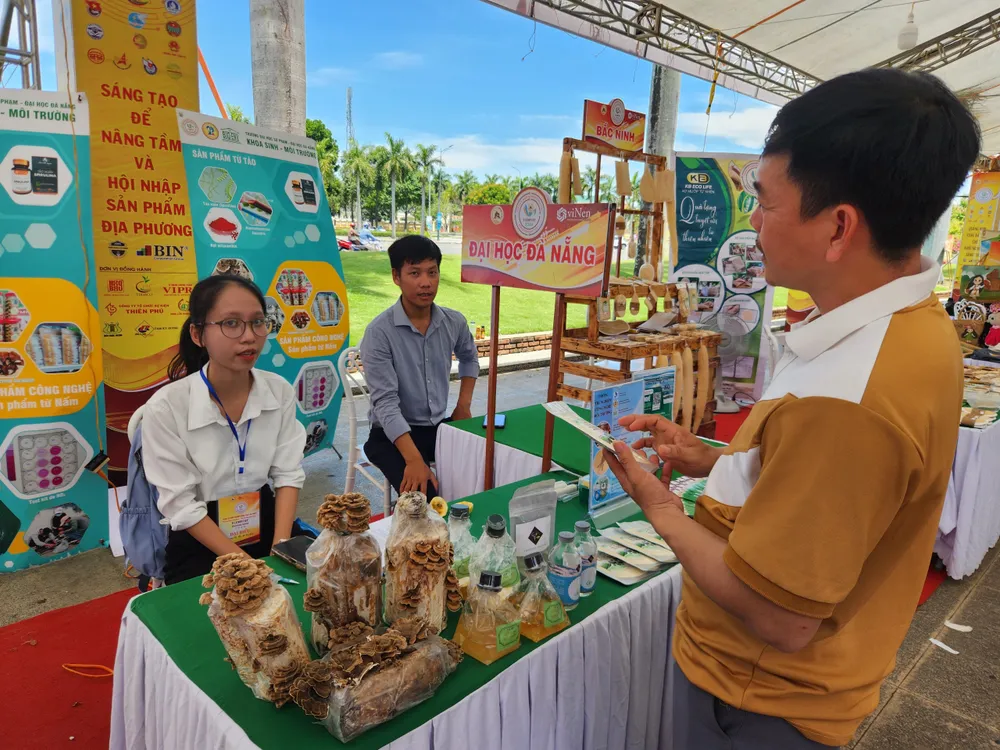 khoi-nghiep-quang-nam- (4).jpg