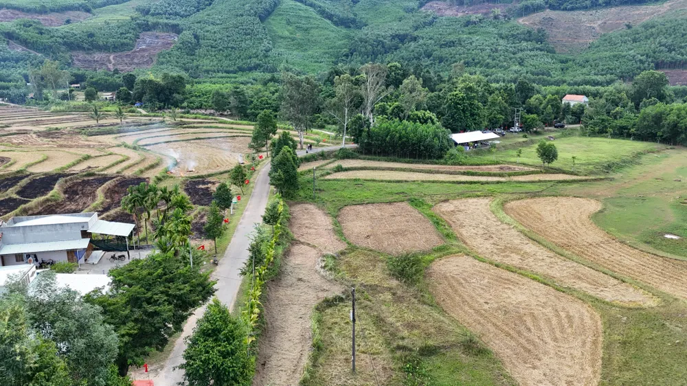 DJI_20240819151110_0166_D - Sao chép.JPG