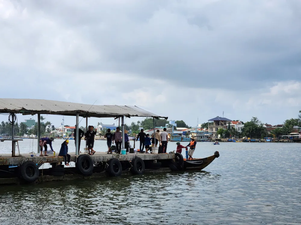 pha tam hai  (12).jpg