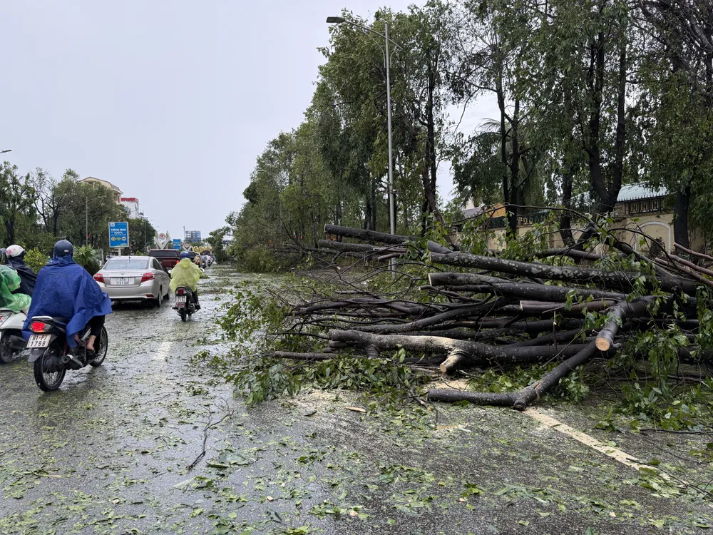 26-8-nguoi-nghe-an-tat-bat-don-dep (13).JPG