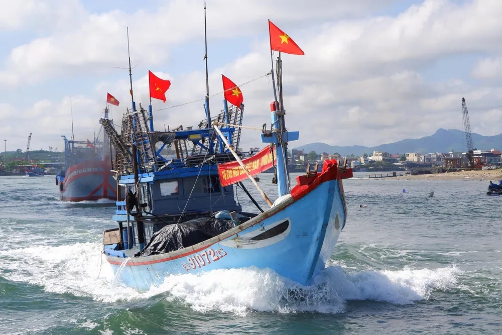 da nang bau cu 1.jpg