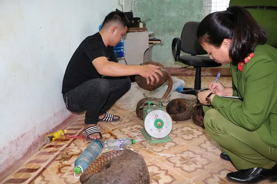 Nhận 20.000 đồng tiền công để vận chuyển 5 cá thể động vật quý hiếm ảnh 1