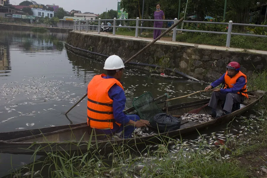 Hàng tấn cá chết bất thường bốc mùi hôi thối nổi đầy hồ Đại An ảnh 1