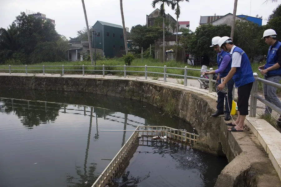 Hàng tấn cá chết bất thường bốc mùi hôi thối nổi đầy hồ Đại An ảnh 2