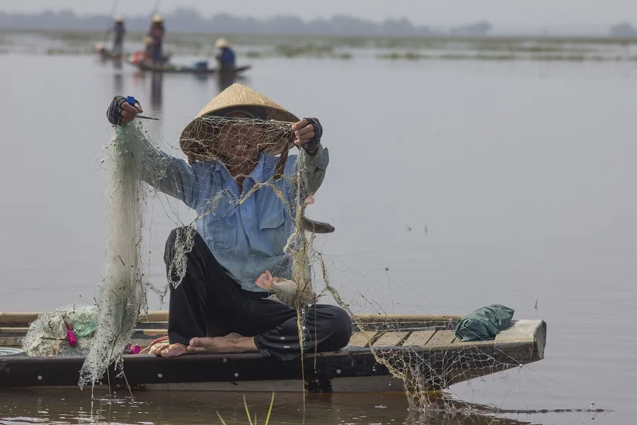 Mưu sinh vùng càng mùa nước nổi ảnh 5