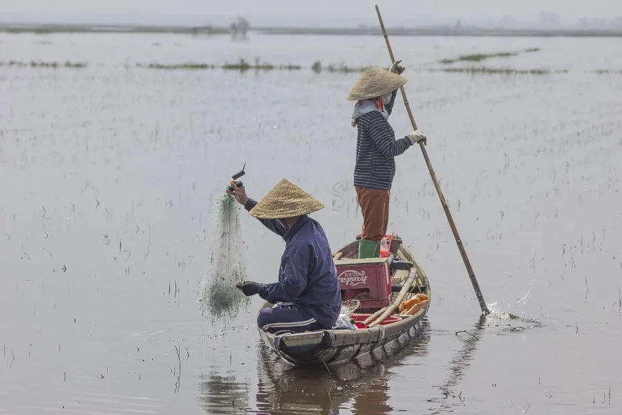 Mưu sinh vùng càng mùa nước nổi ảnh 4
