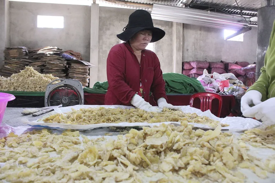 Làng nghề mứt gừng Mỹ Chánh vào vụ tết ảnh 6