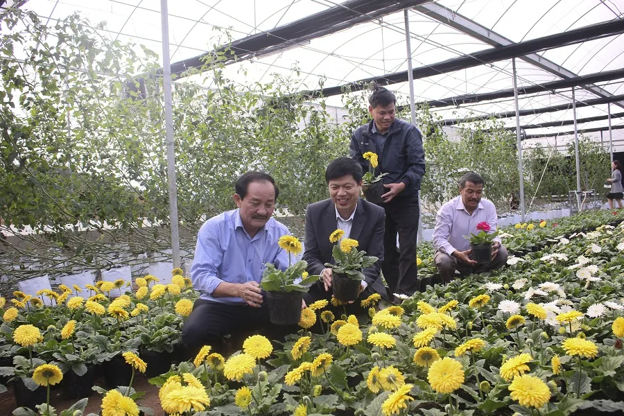 Sa Mù ngàn hoa khoe sắc ảnh 7