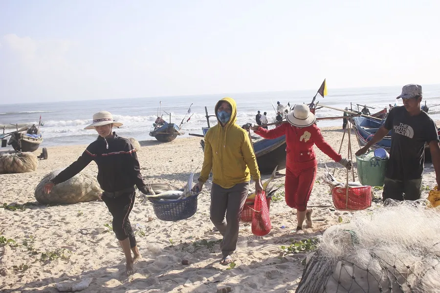 Ngư dân được mùa cá bè xước những ngày giáp tết ảnh 5