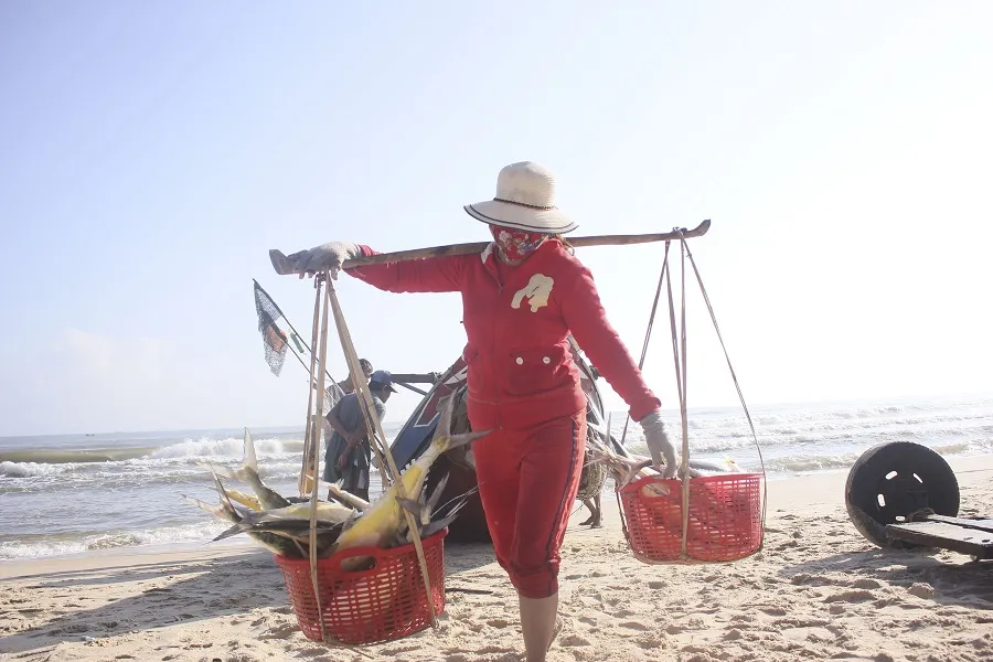 Ngư dân được mùa cá bè xước những ngày giáp tết ảnh 3