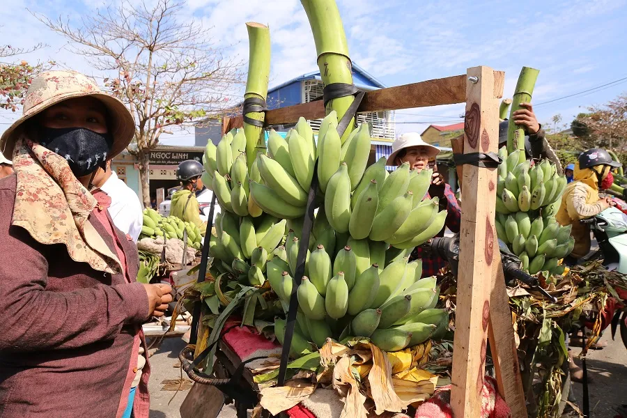 Chợ chuối mật mốc vùng biên lớn nhất miền Trung nhộn nhịp dịp cuối năm ảnh 2
