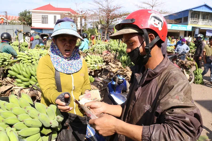 Chợ chuối mật mốc vùng biên lớn nhất miền Trung nhộn nhịp dịp cuối năm ảnh 3