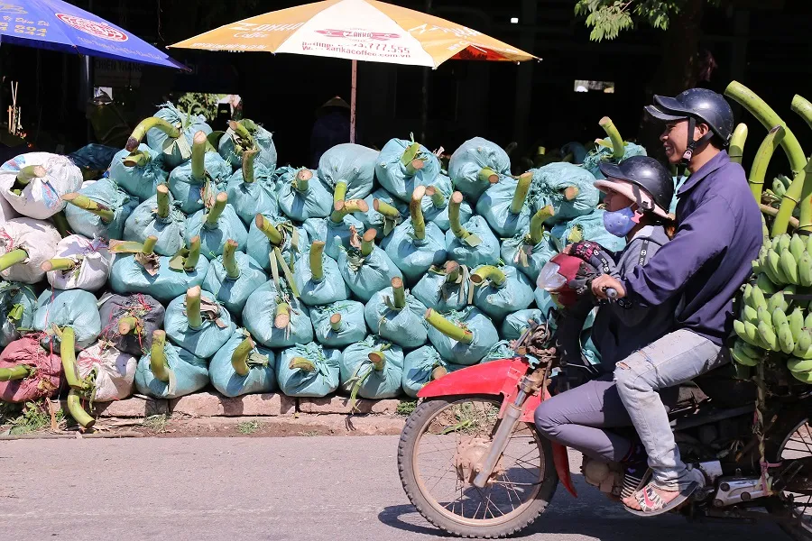 Chợ chuối mật mốc vùng biên lớn nhất miền Trung nhộn nhịp dịp cuối năm ảnh 5