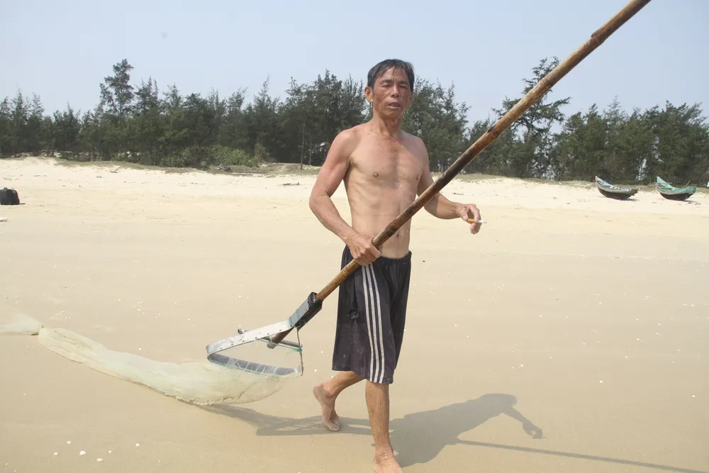 Ngư dân vùng bãi ngang Quảng Trị được mùa ốc ruốc ảnh 2