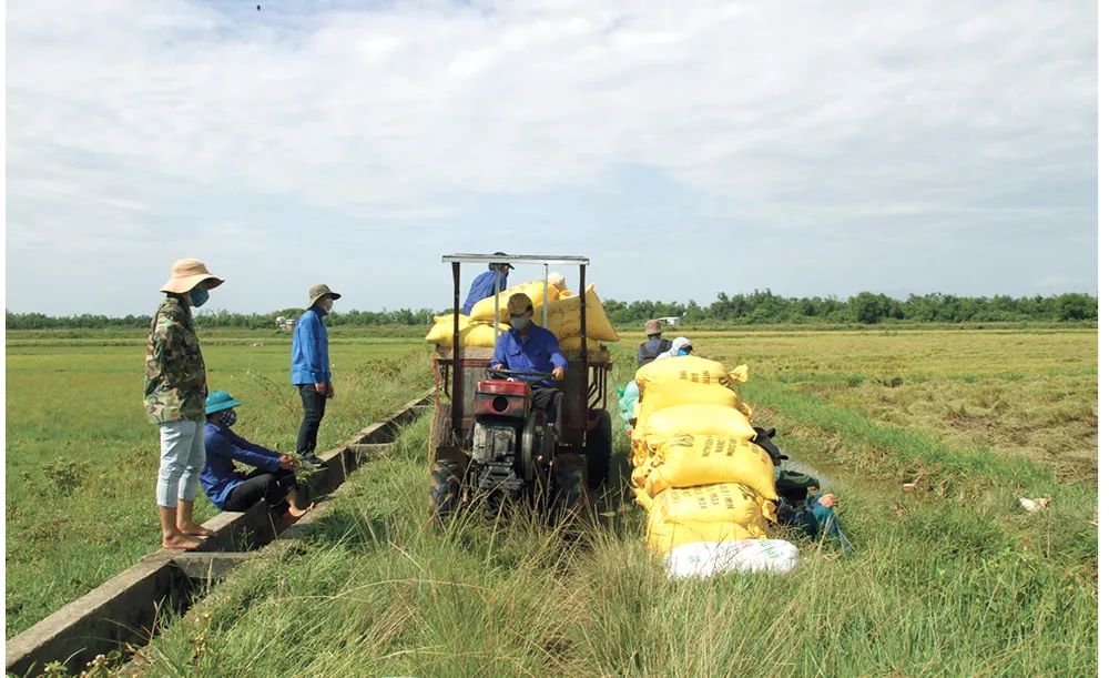 Nghĩa tình xóm làng thời… phong tỏa ảnh 13