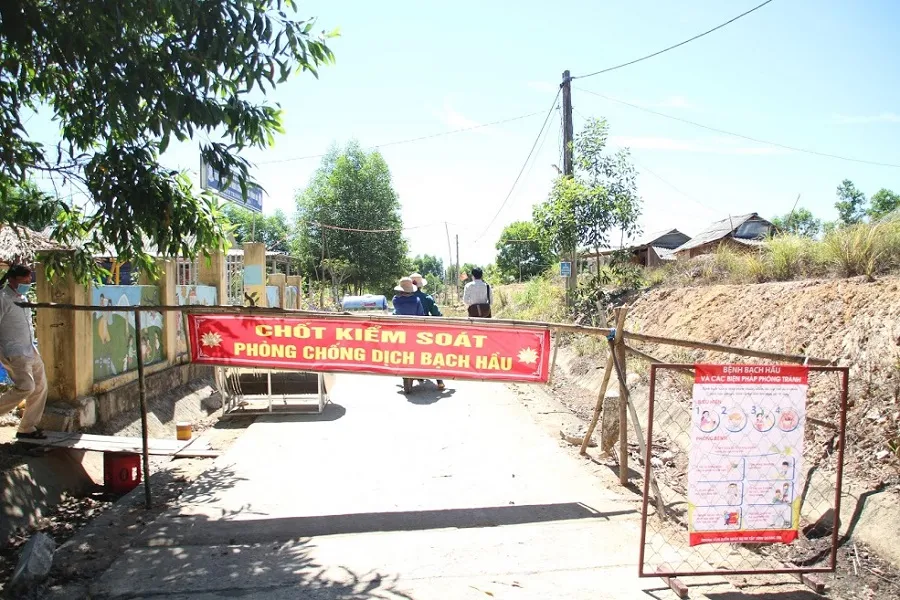 Quảng Trị tiêm chủng bạch hầu cho 8.200 người ảnh 1