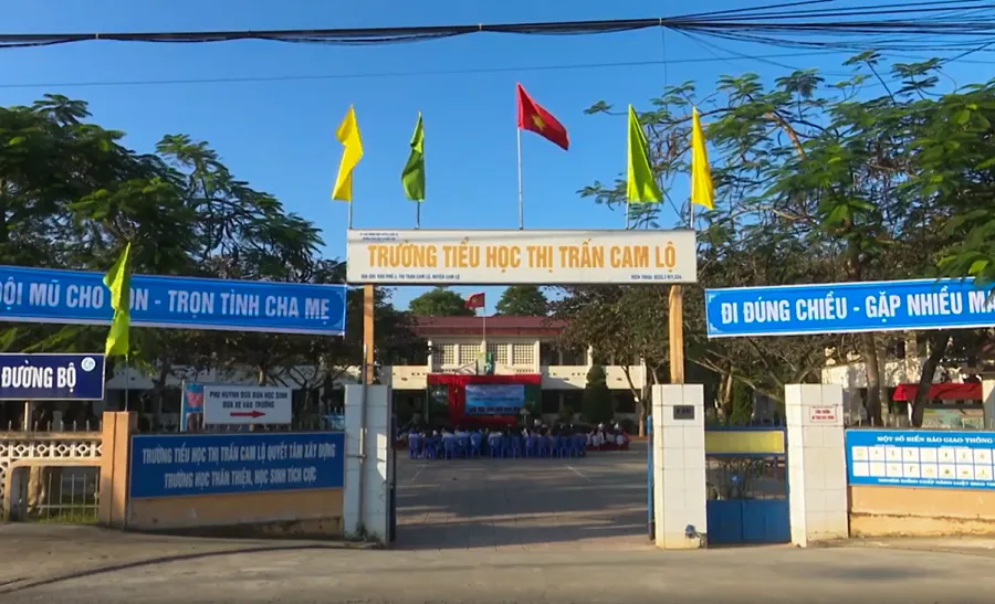 26 học sinh tiểu học nhập viện vì bị ong đốt ảnh 1