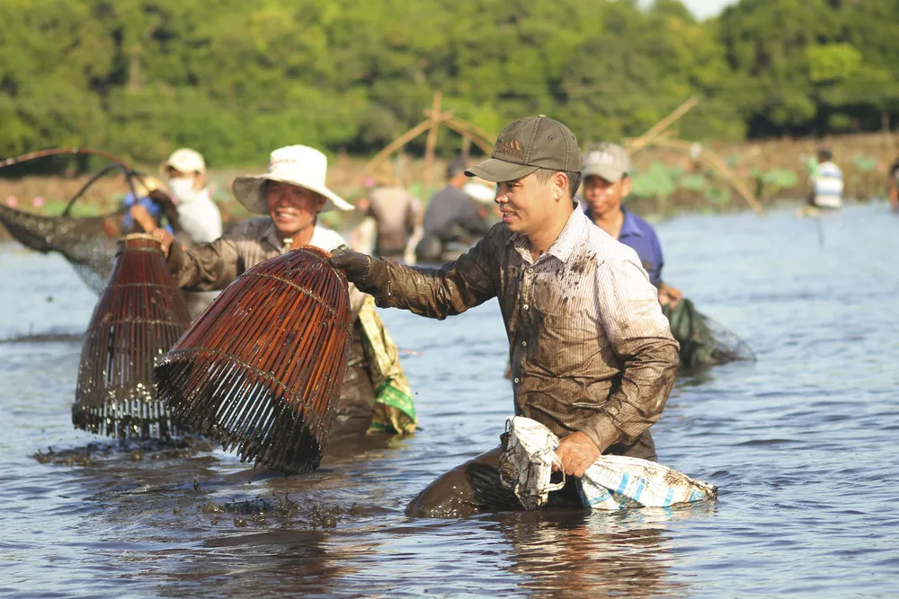Hàng trăm người reo hò, lội bùn bắt cá cầu may  ảnh 7