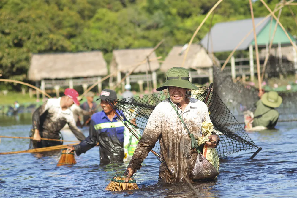 Hàng trăm người reo hò, lội bùn bắt cá cầu may  ảnh 6