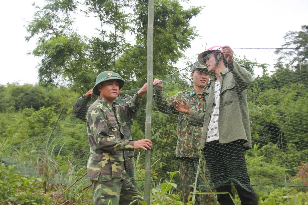 Căng lưới vây núi ngăn đàn voọc tấn công người ảnh 3
