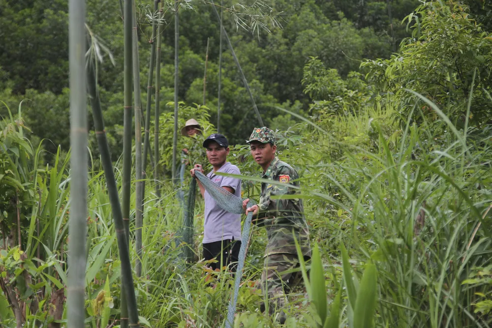 Căng lưới vây núi ngăn đàn voọc tấn công người ảnh 2