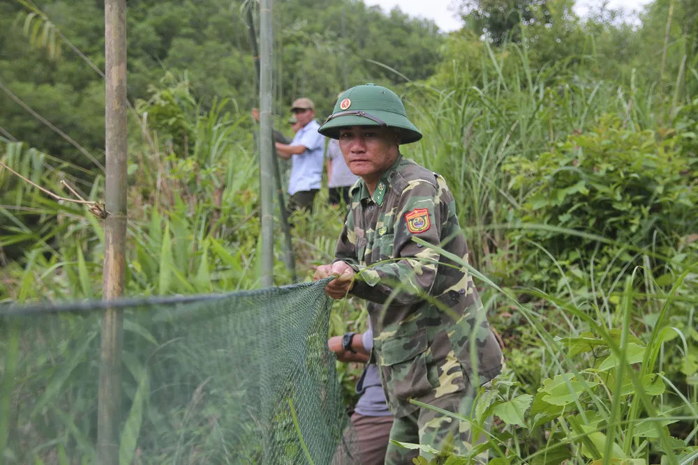 Căng lưới vây núi ngăn đàn voọc tấn công người ảnh 1