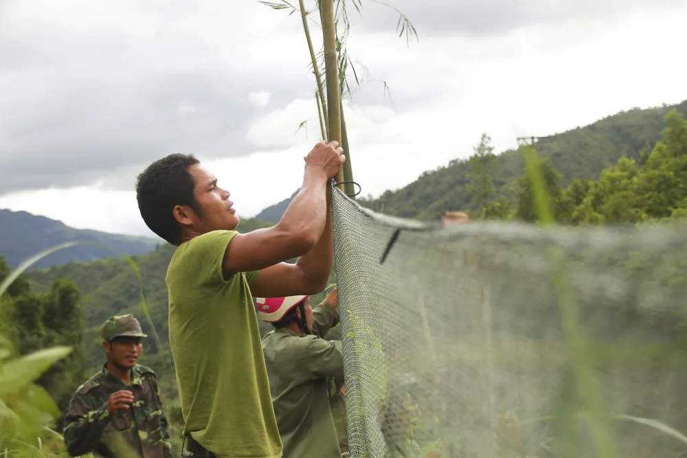 Căng lưới vây núi ngăn đàn voọc tấn công người ảnh 6