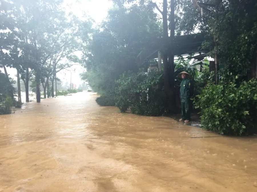 Quảng Trị: Giúp người dân khắc phục hậu quả khi lũ rút ảnh 2