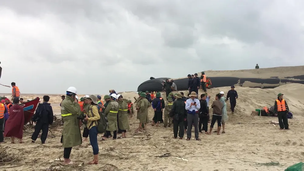 Tàu cá ngư dân bị sóng đánh chìm khi đang cứu nạn tàu Vietship 01 ảnh 2