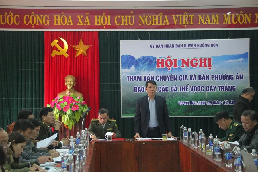 Voọc gáy trắng tấn công người ở Quảng Trị: Di chuyển đàn voọc đến khu vực mới ảnh 1