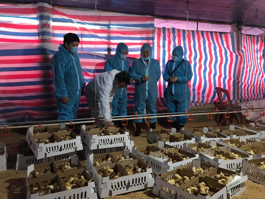 Bộ NN-PTNT thăm hỏi, tặng quà các gia đình khó khăn trên địa bàn tỉnh Quảng Trị  ảnh 1