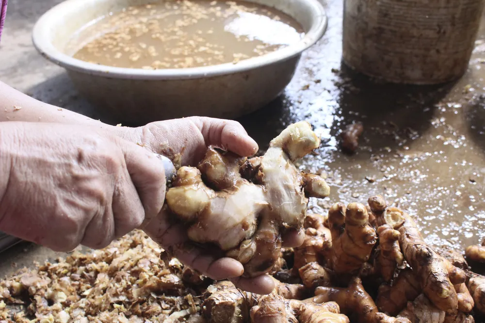 Làng nghề sản xuất mứt gừng Mỹ Chánh tất bật vào vụ tết ảnh 2