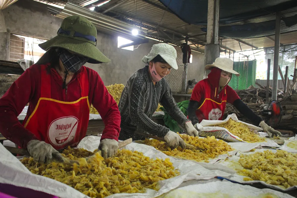 Làng nghề sản xuất mứt gừng Mỹ Chánh tất bật vào vụ tết ảnh 6