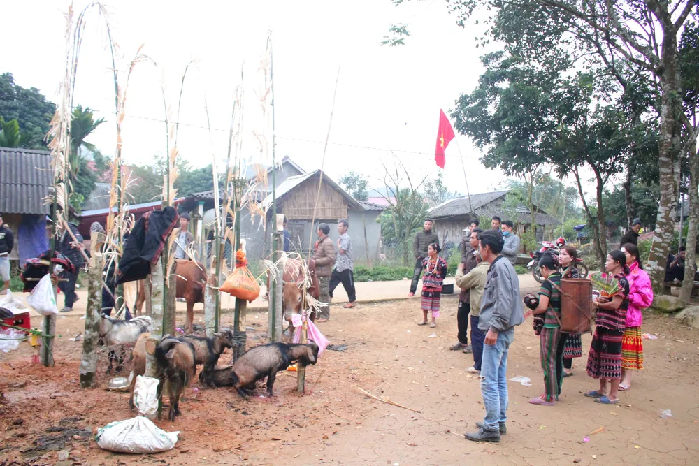 Độc đáo lễ hội Ada của người Pa Cô ảnh 5