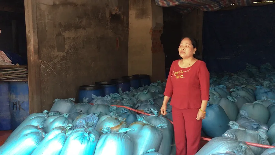 Quảng Trị tiêu hủy gần 500 tấn hải sản tồn kho ảnh 1