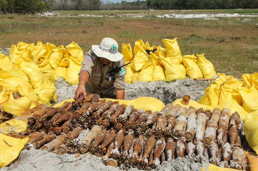 Phát hiện hầm chứa gần 500 quả đạn cối, lựu đạn trong rừng keo ảnh 2