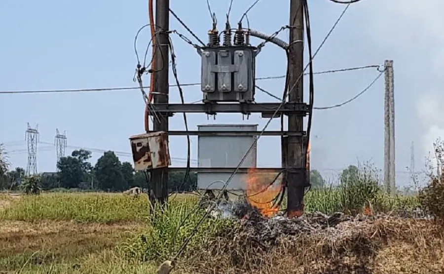 Đốt rơm rạ làm cháy trạm biến áp, hàng trăm hộ dân mất điện ảnh 1