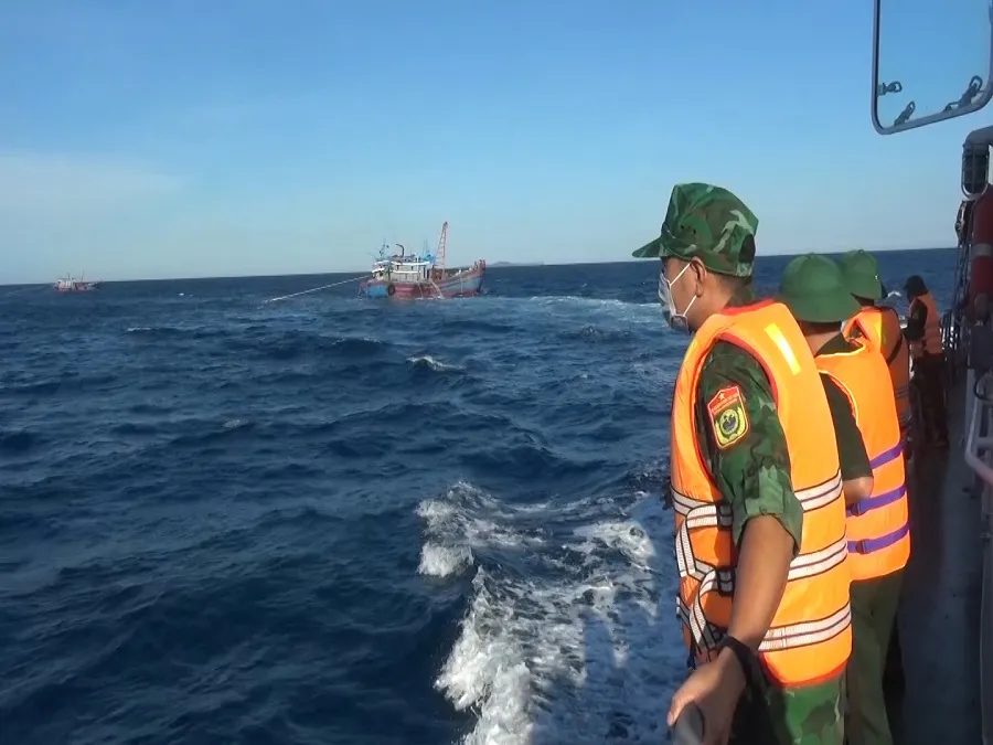 Quảng Trị: Phát hiện nhiều tàu giã cào đánh bắt trái phép ảnh 1