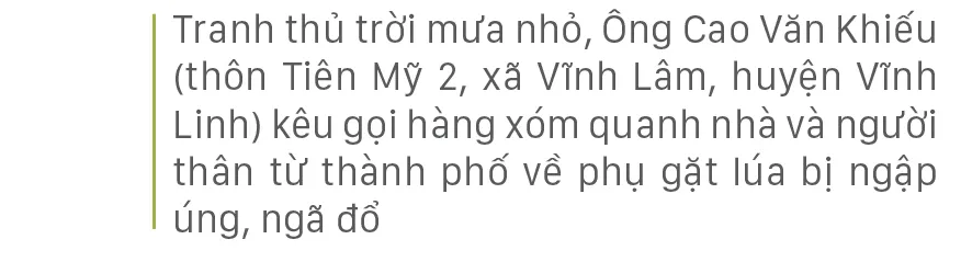 Nông dân miền Trung dầm mình cứu lúa sau mưa bão  ảnh 11