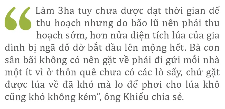 Nông dân miền Trung dầm mình cứu lúa sau mưa bão  ảnh 12