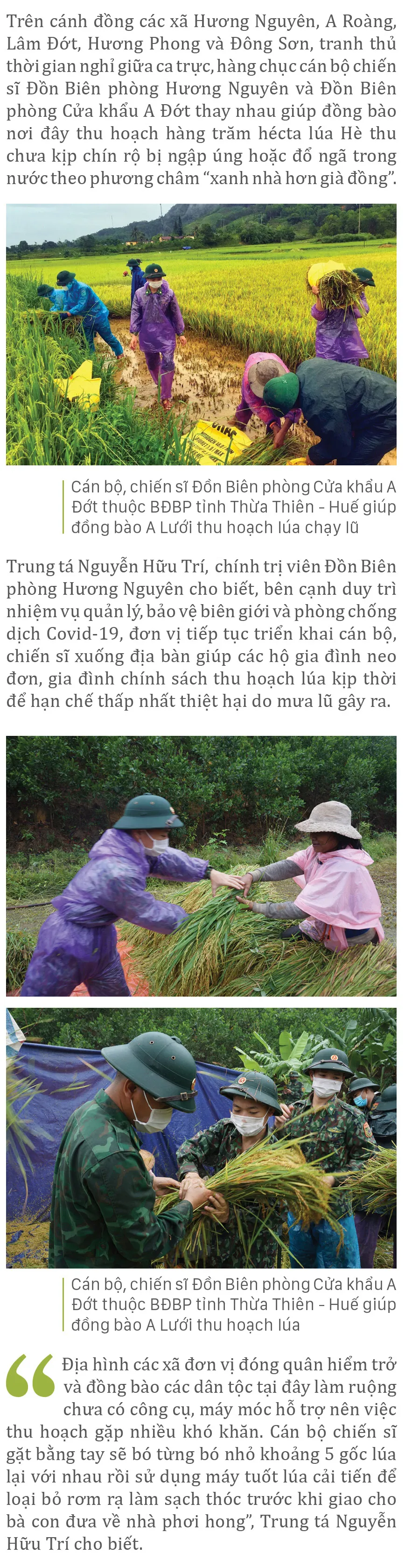 Nông dân miền Trung dầm mình cứu lúa sau mưa bão  ảnh 17