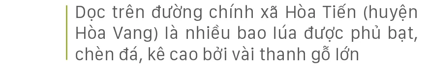 Nông dân miền Trung dầm mình cứu lúa sau mưa bão  ảnh 23