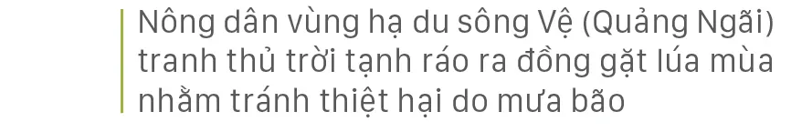 Nông dân miền Trung dầm mình cứu lúa sau mưa bão  ảnh 29