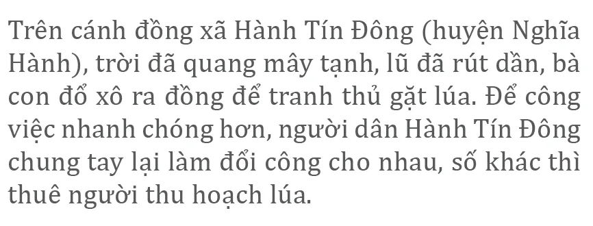 Nông dân miền Trung dầm mình cứu lúa sau mưa bão  ảnh 30