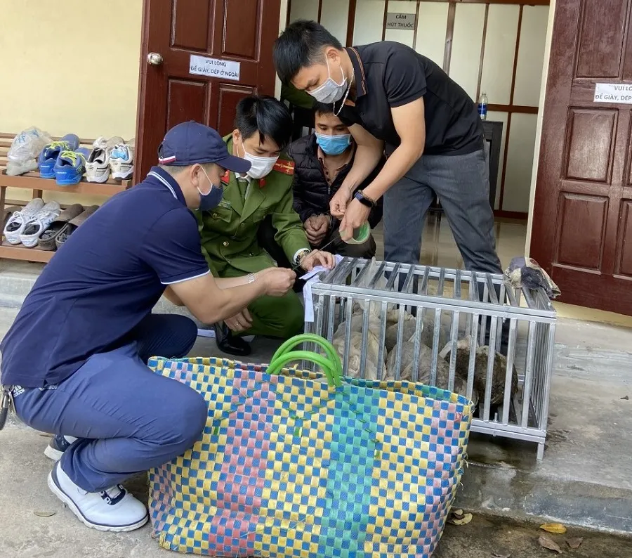 Quảng Trị: Bắt giữ đối tượng vận chuyển 4 cá thể Tê tê ảnh 1