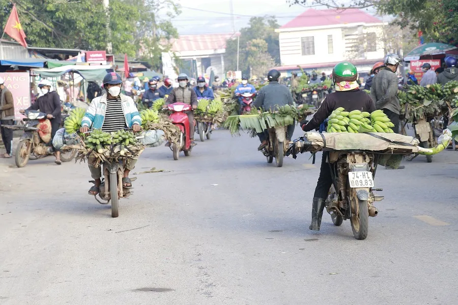 Nhộn nhịp phiên chợ chuối mật mốc ngày giáp tết ảnh 10